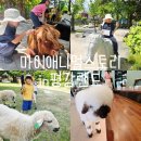 평강농장 | 마이애니멀스토리 평강랜드, 서울근교 아이랑 주말나들이 포천 갈만한곳 주차 입장료 카페 방문 후기