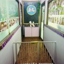 엘제이펫 이미지