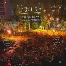 호수미 | 🌷🌹장미 핀 석촌호수 산책 후기 🌹🌷(+장미 위치, 화장실)