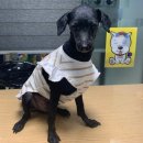 원미지구대 이미지