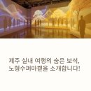 제주 날씨 걱정 끝! 실내 여행 명소 ‘노형수퍼마켙’ 제주도 가족여행 추천지