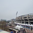 마켓진달래 | 부천 봄꽃여행 원미산 진달래축제 2026 방문 후기