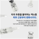 제이미코스메틱 이미지