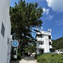 비진보건진료소 네이버블로그