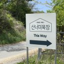 원두막목장 | 강원도 평창 산너미목장 캠핑 후기 편의시설 명당 팁