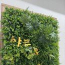 샤브앤샤브일도점 이미지