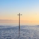 청춘바다 이미지