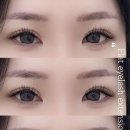 블루미니즈 이미지