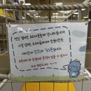 홈플러스 대전가오점 챔피언 이미지