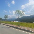 남면체육공원 테니스장 이미지