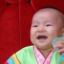 스튜디오 홍시 Daum카페