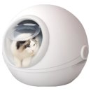 퍼피플래닛 이미지