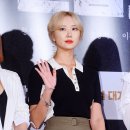 LE 카카오 검색결과