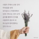미가
