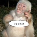 함흥본가 면옥 이미지