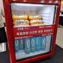 22nd 궁디팡팡 캣페스타 고양이펫박람회 캣페어후기