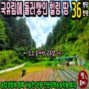 여주-0530 네이버블로그