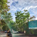 2767 | 시드니 여행 7일차(1) :: 기차 버스 타고 페더데일 동물원 가기(페더데일 시드니 야생동물 공원)