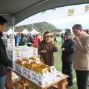 안성체육공원3 이미지