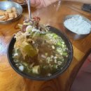 제일애견 이미지