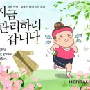 허브앤점핑다이어트