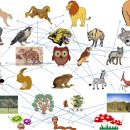 생명의 그물 1 이미지