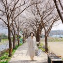 옥천2리 | 둘이서 찍은 사계절 셀프웨딩 스냅 봄 벚꽃♥