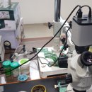 초안경로당 | usb 파일 사라졌을 때