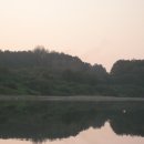 영한농장 이미지