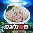 소문난 수영일번가 | [부산/수영역]현지인도 추천하는 소문난 줄서는 맛집&#39;자갈치횟집&#39;예약 방문후기/모둠회 내돈내산