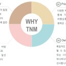 투어앤마이스