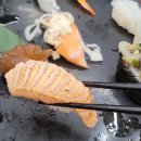 손시스시 이미지