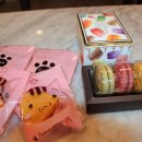 반려동물수제간식창업 이미지