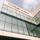 금오 타이어 크루젠 교체 후기 대구 타이어 웨이(카매니아 분점)