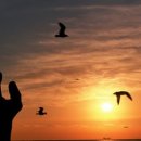 해맞이축제 이미지