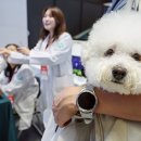 로봇RD센터 이미지