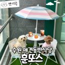 JUNTOS(훈또스) | 수원애견동반브런치 맛집 훈또스