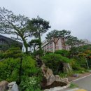 양노로109번길 이미지