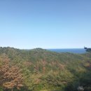 해파랑길 22코스, 미련하게 고집부리기