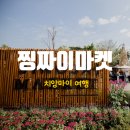 무안짜이
