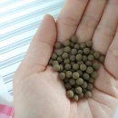 튼튼가족한의원 이미지