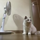 시절인연