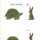 토끼와거북이