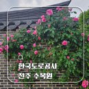 곳] 5월의 하얀 눈꽃 공조팝과 장미가 가득한 '전주 한국도로공사 수목원' 힐링 여행 // 코스 완벽 정리
