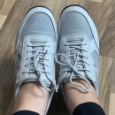 슈올즈 괴정점 이미지