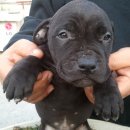 김철농장 이미지