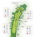 제주 오라CC South Information 이미지