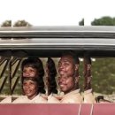 더 느리게 이미지