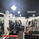 월드헬스클럽 이미지