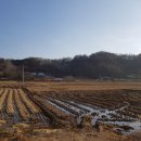 농공단지 앞 Daum카페